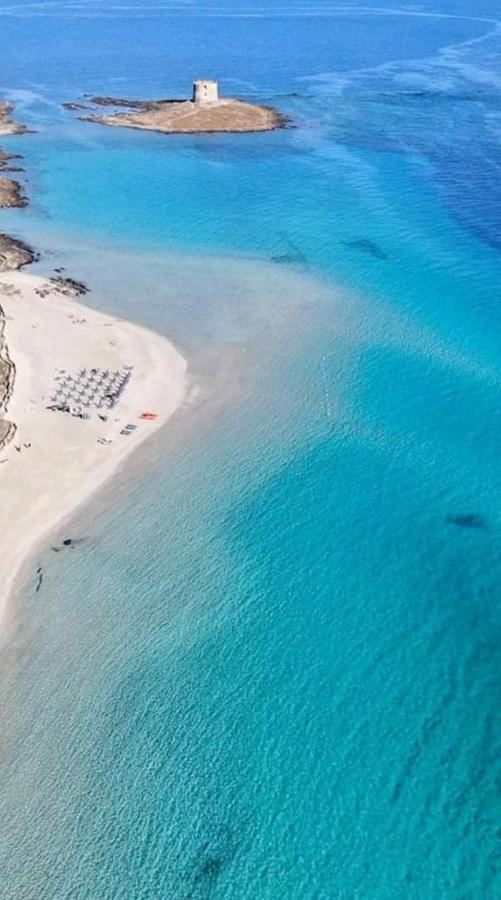 Maria Antonietta House Villa Porto Torres Ngoại thất bức ảnh