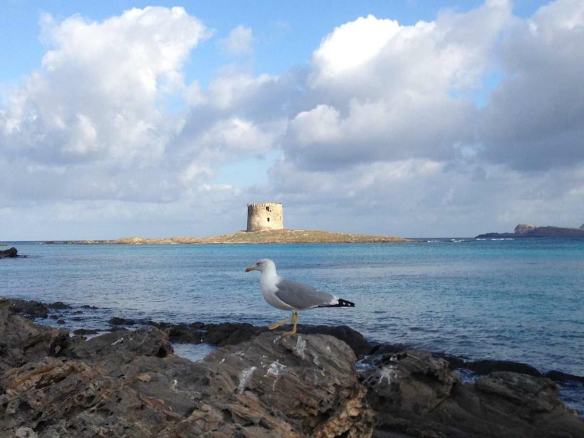 Maria Antonietta House Villa Porto Torres Ngoại thất bức ảnh